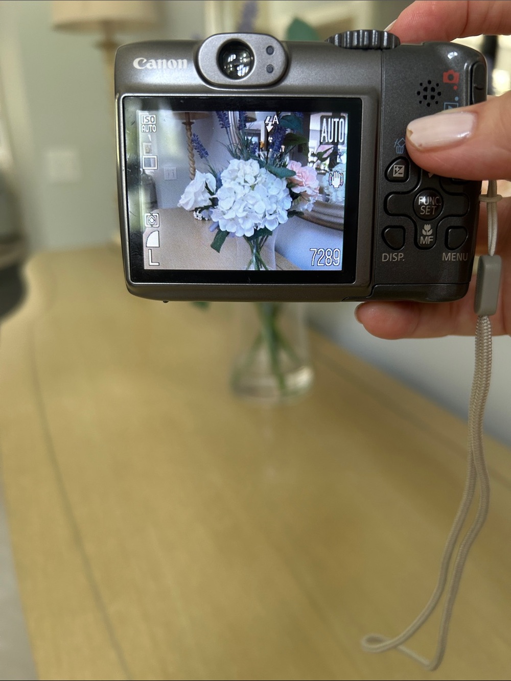 Canon 8.0MP Compact Digital Camera in Metallic Silver-Gray - Picture 14 of 17